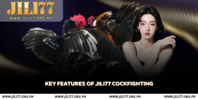 key-features-of-jili77-cockfighting